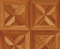 Terrana 01/ Eco Imperial